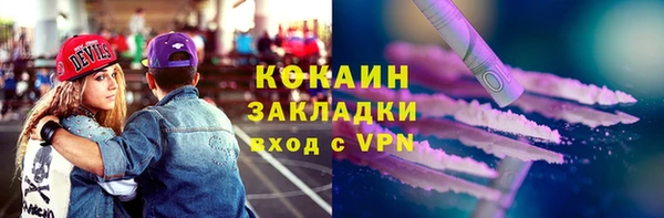 мдпв Богородицк