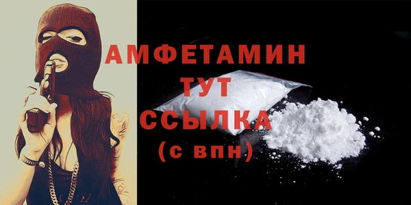 мдпв Богородицк
