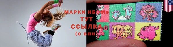 мдпв Богородицк