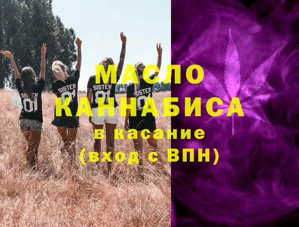 мдпв Богородицк